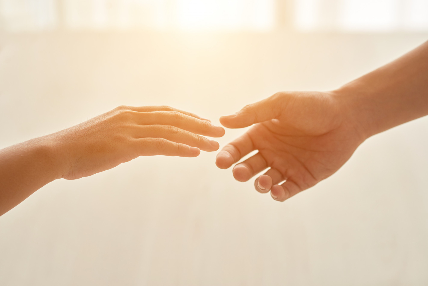 Memiliki jiwa sosial yang tinggi, pemilik empat shio ini akan mendapatkan rezeki yang terus mengalir deras. (foto: freepik) Memiliki jiwa sosial yang tinggi, pemilik empat shio ini akan mendapatkan rezeki yang terus mengalir deras. (foto: freepik)