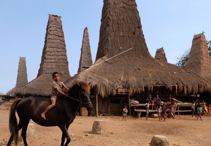 Seorang anak menaiki kuda di Desa Adat Ratenggaro Desa Umbu Ngedo, Kodi Bangedo, Sumba Barat Daya, Nusa Tenggara Timur, Rabu (28/8/2019). Foto: ANTARA FOTO/Anis Efizudin/foc. Seorang anak menaiki kuda di Desa Adat Ratenggaro Desa Umbu Ngedo, Kodi Bangedo, Sumba Barat Daya, Nusa Tenggara Timur, Rabu (28/8/2019). Foto: ANTARA FOTO/Anis Efizudin/foc.