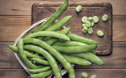 7 Khasiat Makan Buncis Mengejutkan, Wanita Rugi Kalau Tak Suka (Foto: Shutterstock) 7 Khasiat Makan Buncis Mengejutkan, Wanita Rugi Kalau Tak Suka (Foto: Shutterstock)