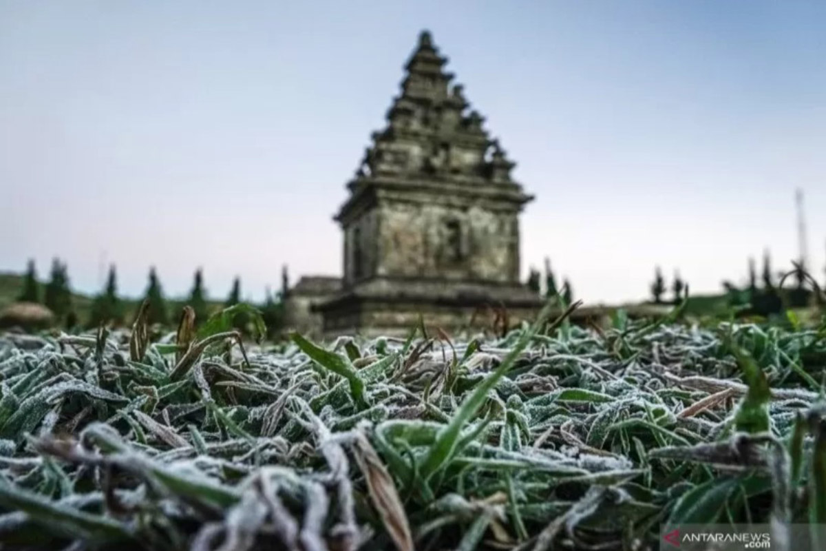 Embun beku yang muncul akibat penurunan suhu hingga minus tujuh derajat celcius menyelimuti kompleks Candi Arjuna, di dataran tinggi Dieng, Banjarnegara, Jawa Tengah, Selasa (25/6/2019). (FOTO: ANTARA/Idhad Zakaria) Embun beku yang muncul akibat penurunan suhu hingga minus tujuh derajat celcius menyelimuti kompleks Candi Arjuna, di dataran tinggi Dieng, Banjarnegara, Jawa Tengah, Selasa (25/6/2019). (FOTO: ANTARA/Idhad Zakaria)