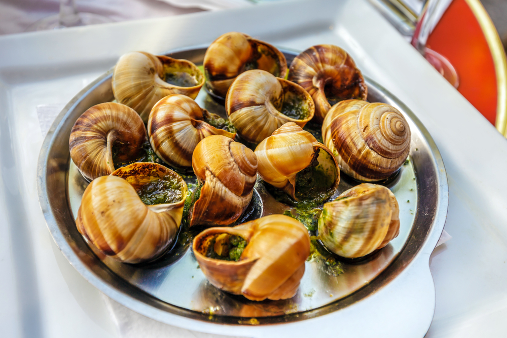 bekicot. foto: shutterstock bekicot. foto: shutterstock