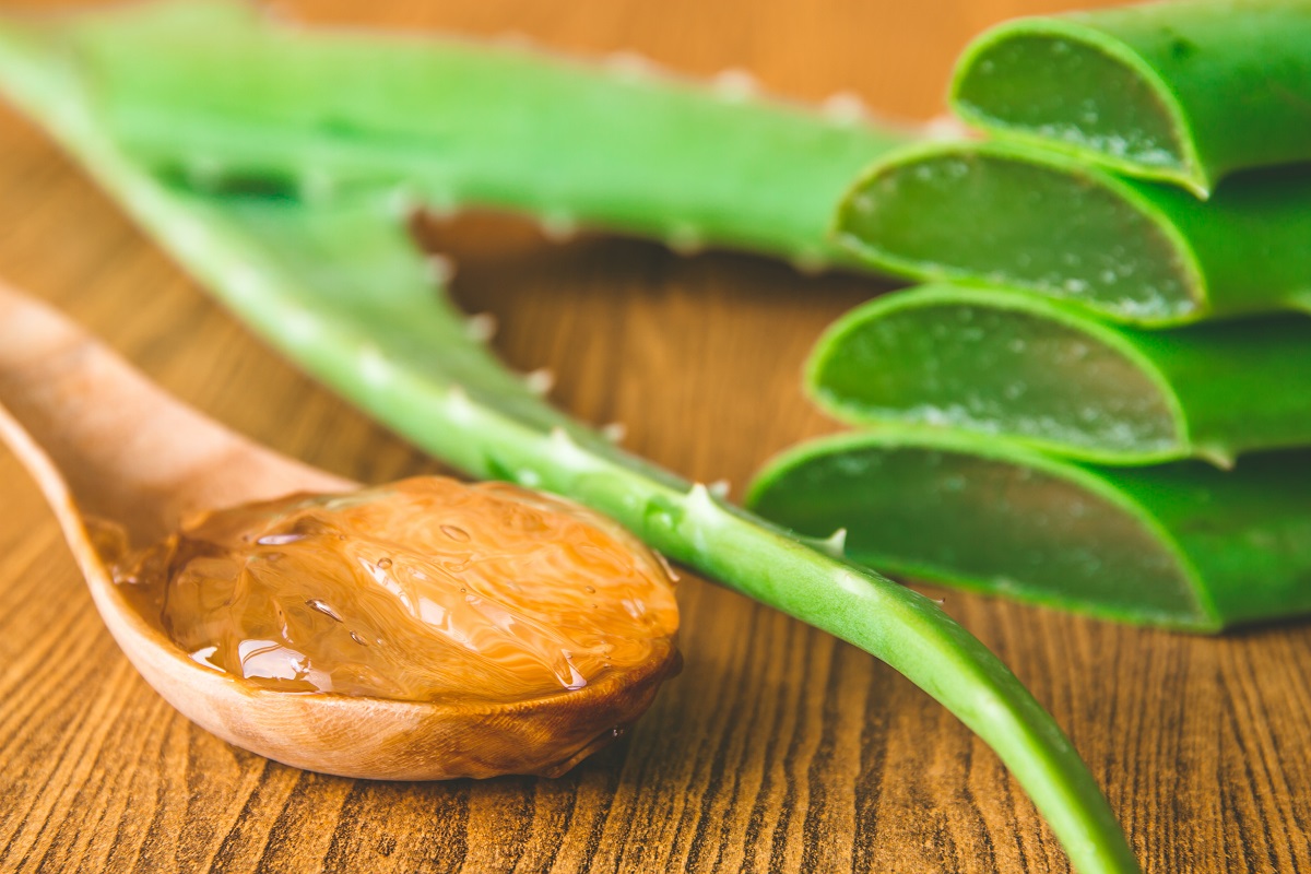 Aloe Vera Gel Mixed with Honey has Super Benefits, Women Are Satisfied