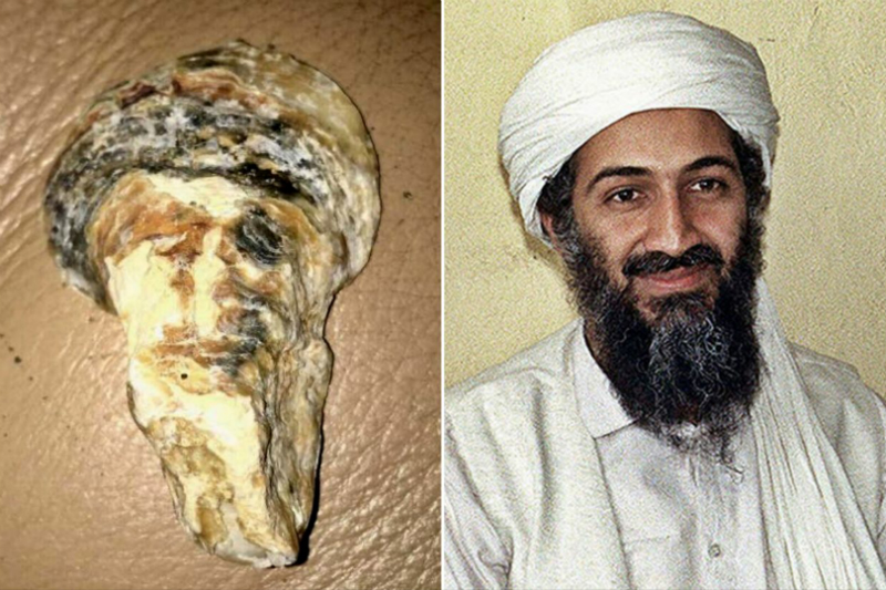 Kepingan kerang ini mirip banget dengan eks pemimpin Al-Qaeda, Osama Bin Laden. Fakta unik yakni, dia juga dimakamkan di laut! (Foto : Ny Post) Kepingan kerang ini mirip banget dengan eks pemimpin Al-Qaeda, Osama Bin Laden. Fakta unik yakni, dia juga dimakamkan di laut! (Foto : Ny Post)