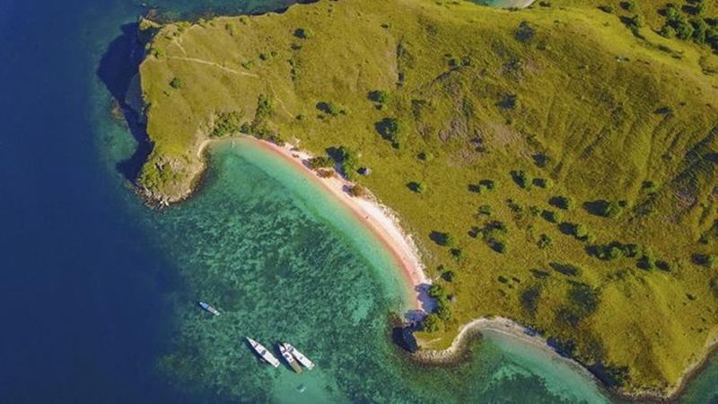 Pantai Pink di Flores (foto: Istock) Pantai Pink di Flores (foto: Istock)