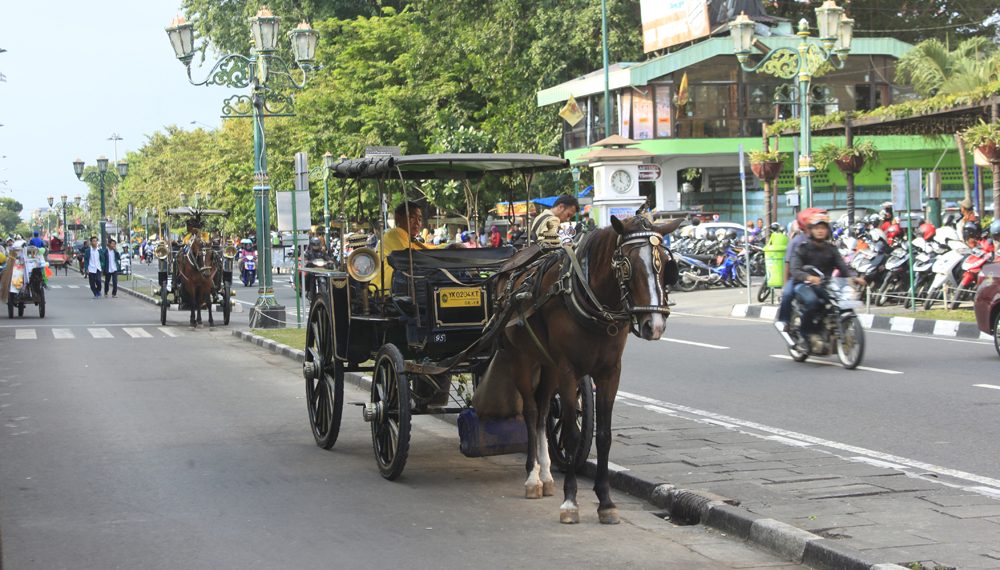 Asyik, andong online segera meng'aspal' di Yogyakarta (Foto : Jogja Inside) Asyik, andong online segera meng'aspal' di Yogyakarta (Foto : Jogja Inside)