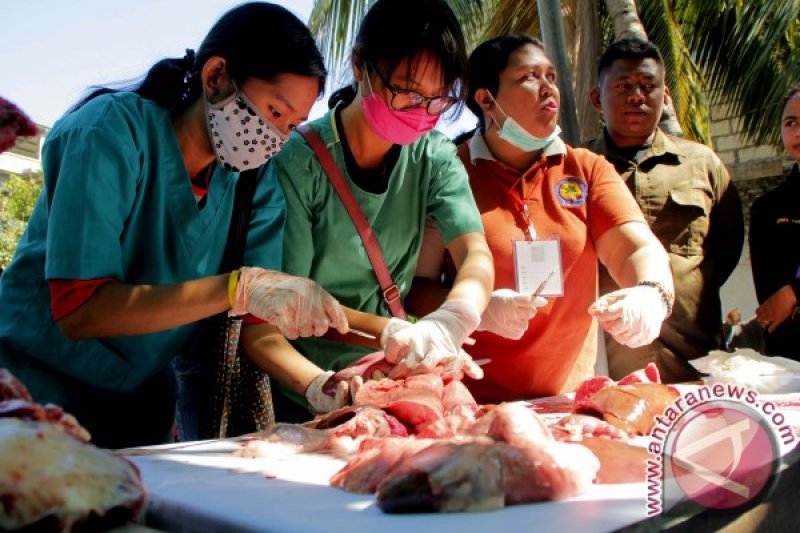 Berbagi daging kurban saat momen Idul Adha kepada yang terdekat, adalah suatu hal ya dapat menciptakan solidartias kepada sesama manusia. (Sumber foto: Antaranews) Berbagi daging kurban saat momen Idul Adha kepada yang terdekat, adalah suatu hal ya dapat menciptakan solidartias kepada sesama manusia. (Sumber foto: Antaranews)