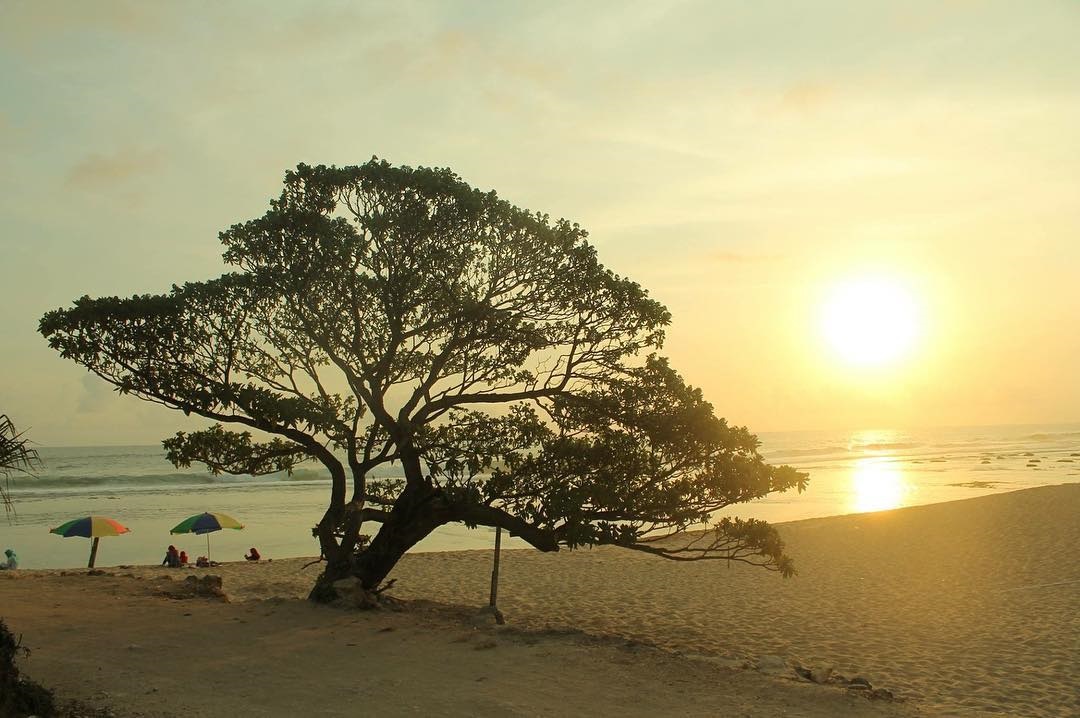 Pantai Pok Tunggal (Instagram/@genta.hf) Pantai Pok Tunggal (Instagram/@genta.hf)