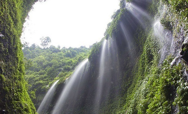 Air Terjun Madakaripura. (Foto: agenwisatabromo.com) Air Terjun Madakaripura. (Foto: agenwisatabromo.com)