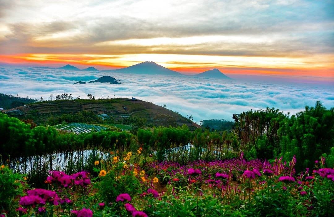 Pemandangan pegunungan di Silancur Highland (Foto: indoflashlight.org) Pemandangan pegunungan di Silancur Highland (Foto: indoflashlight.org)