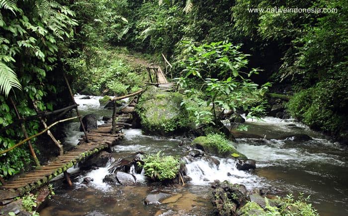 Curug Tilu Leuwi Opat. (Foto: nativeindonesia.com) Curug Tilu Leuwi Opat. (Foto: nativeindonesia.com)