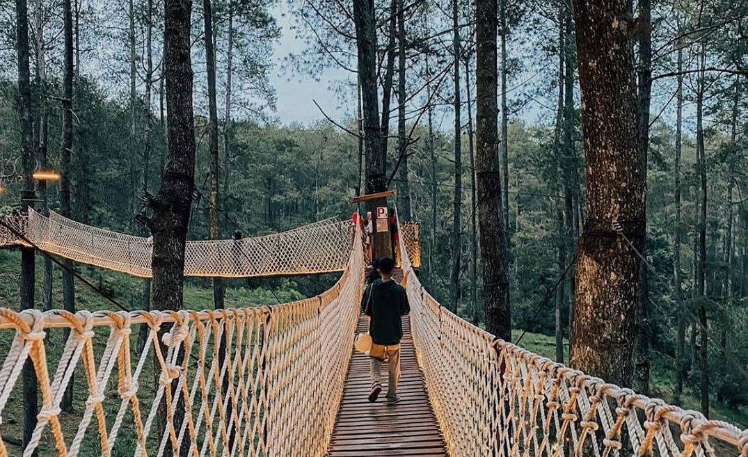 Orchid Forest Cikole (Foto: Instagram/@orchidforestcikole) Orchid Forest Cikole (Foto: Instagram/@orchidforestcikole)