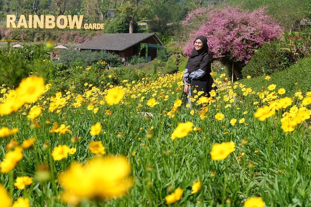 Rainbow Garden Lembang (Foto: Instagram/@rainbowgarden_lembang) Rainbow Garden Lembang (Foto: Instagram/@rainbowgarden_lembang)