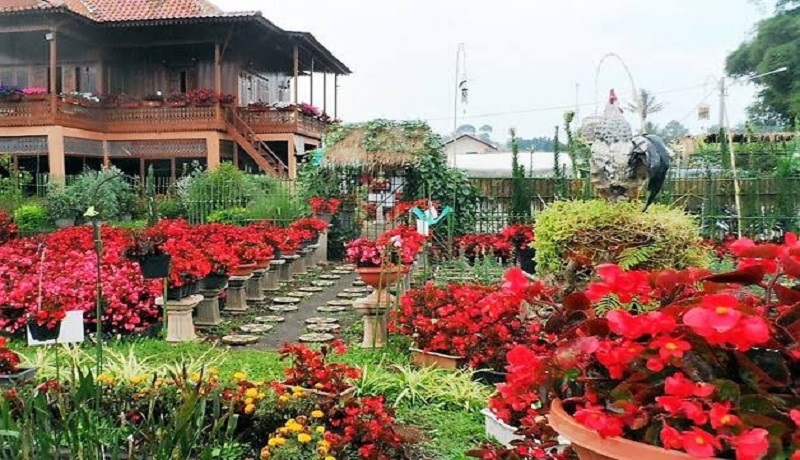 4 Taman Mawar  di  Indonesia  Cocok untuk Rayakan Valentine