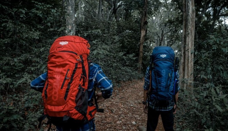 Tas Carrier Cozmeed Sagarmatha (Foto : @COZMEEDer/twitter) Tas Carrier Cozmeed Sagarmatha (Foto : @COZMEEDer/twitter)