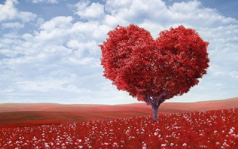 ilustrasi: Kunci Memahami Sebuah Cinta, Bukan dari Pengalaman ( foto: pixabay) ilustrasi: Kunci Memahami Sebuah Cinta, Bukan dari Pengalaman ( foto: pixabay)