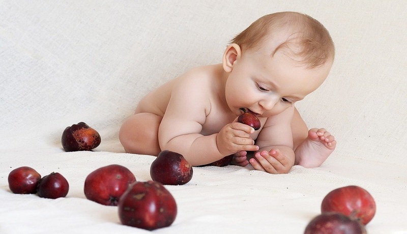 Ilustrasi anak sedang makan buah (foto: Pixabay) Ilustrasi anak sedang makan buah (foto: Pixabay)