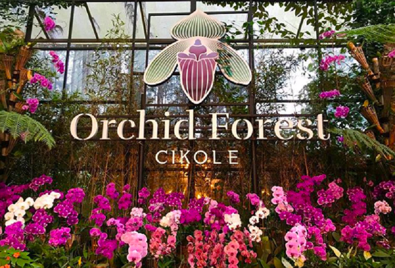 Orchid Forest Cikole, destinasi wisata Bandung yang mengusung konsep alam terbuka (foto: Instagram @orchidforestcikole) Orchid Forest Cikole, destinasi wisata Bandung yang mengusung konsep alam terbuka (foto: Instagram @orchidforestcikole)