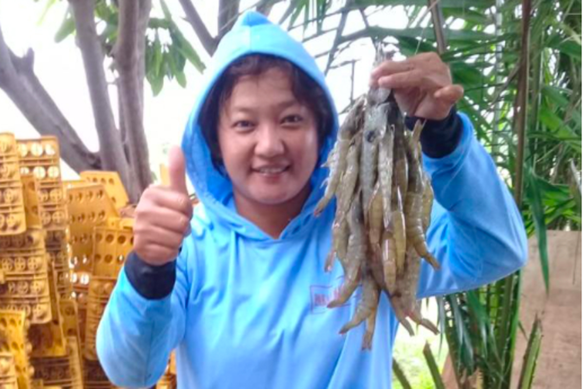 Yeni Rahayu (40) sukses mengelola bisnis budi daya udang dengan memanfaatkan teknologi dari startup eFishery. Foto dok eFishery Yeni Rahayu (40) sukses mengelola bisnis budi daya udang dengan memanfaatkan teknologi dari startup eFishery. Foto dok eFishery
