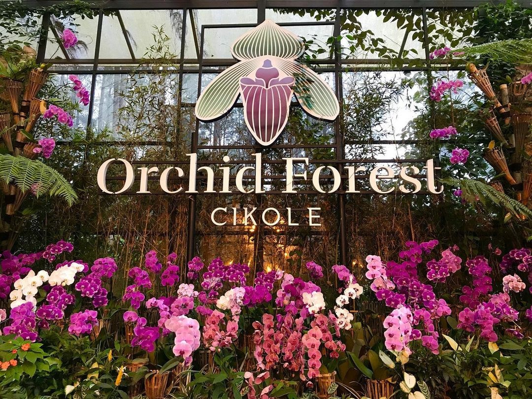 Orchid Forest Cikole (Foto: Instagram/@orchidforestcikole) Orchid Forest Cikole (Foto: Instagram/@orchidforestcikole)