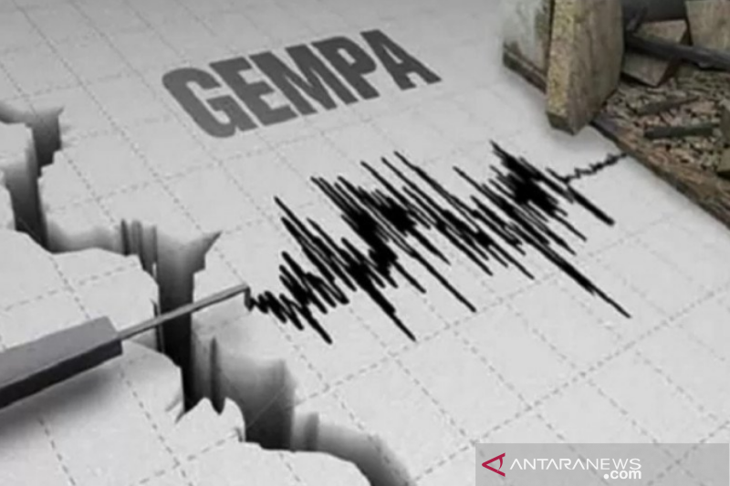 Ilustrasi gempa bumi (Foto: Antara/Harianto) Ilustrasi gempa bumi (Foto: Antara/Harianto)