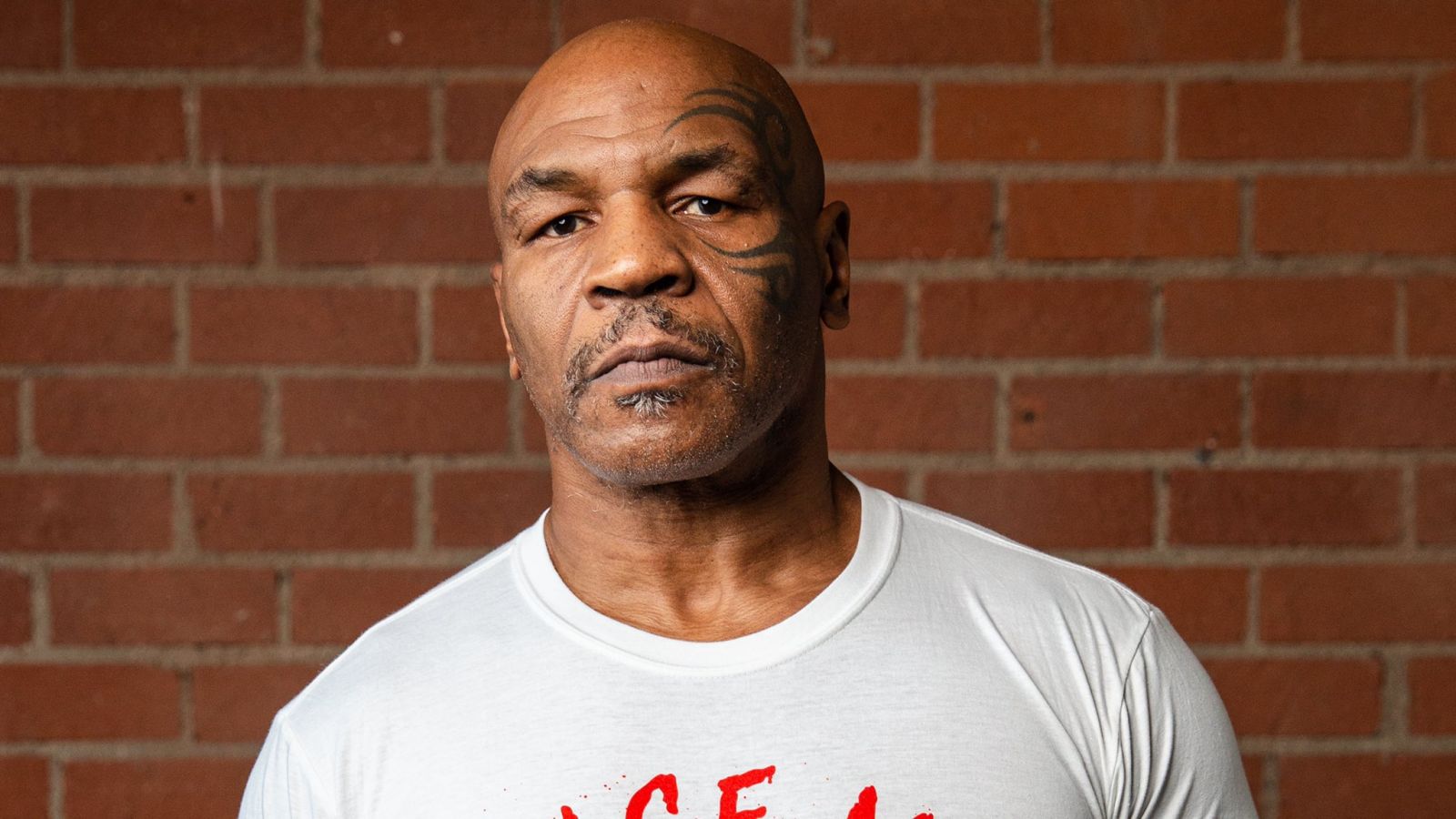 Mike Tyson secara gamblang mengungkapkan alasan di balik banyaknya orang yang ingin menghabisi nyawa Youtuber Logan Paul dan Jake Paul bersaudara. (foto: instagram.com/miketyson) Mike Tyson secara gamblang mengungkapkan alasan di balik banyaknya orang yang ingin menghabisi nyawa Youtuber Logan Paul dan Jake Paul bersaudara. (foto: instagram.com/miketyson)
