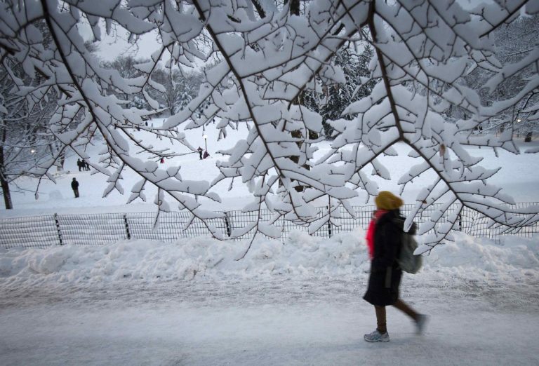 Badai salju di Brooklyn, New York. Foto: Reuters/Bria Webb. Badai salju di Brooklyn, New York. Foto: Reuters/Bria Webb.