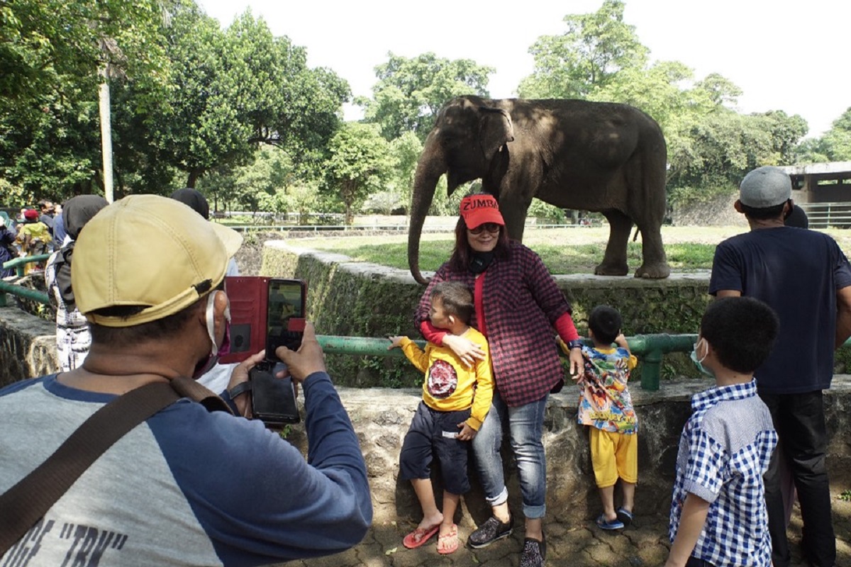Pengunjung Membeludak, Ancol, TMII, Ragunan Tutup Hingga 17 Mei (foto: GenPI.co) Pengunjung Membeludak, Ancol, TMII, Ragunan Tutup Hingga 17 Mei (foto: GenPI.co)