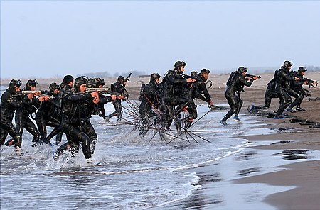 ilustrasi: pasukan elite Iran. Foto: wikipedia ilustrasi: pasukan elite Iran. Foto: wikipedia