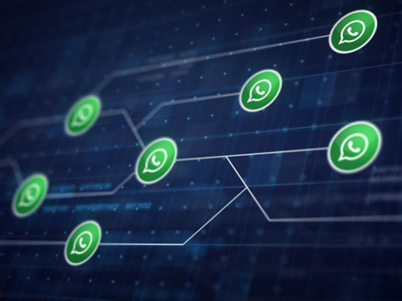 Ilustrasi aplikasi WhatsApp. Foto: Freepik/natanaelginting Ilustrasi aplikasi WhatsApp. Foto: Freepik/natanaelginting