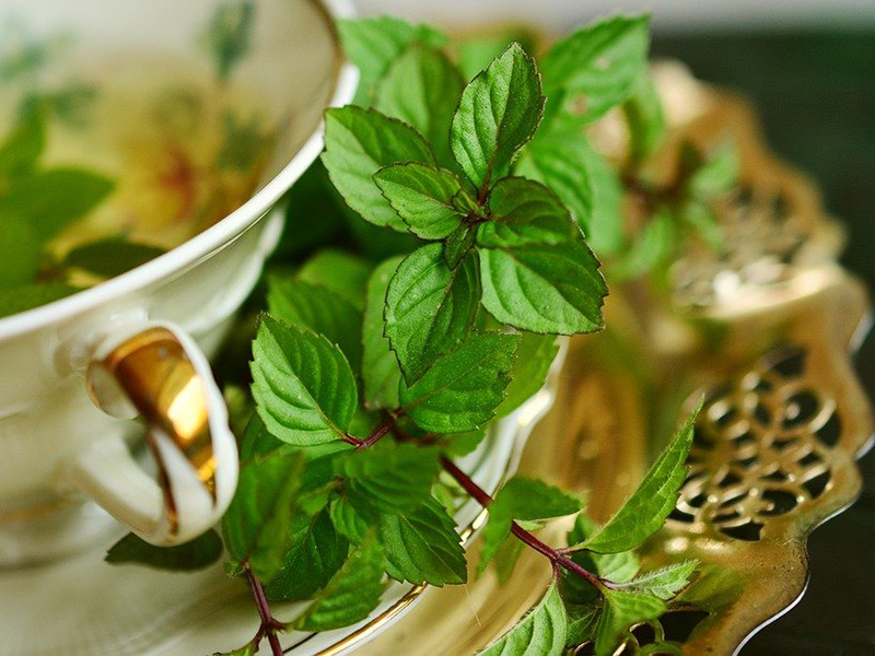Ilustrasi daun mint. Foto: Pixabay Ilustrasi daun mint. Foto: Pixabay