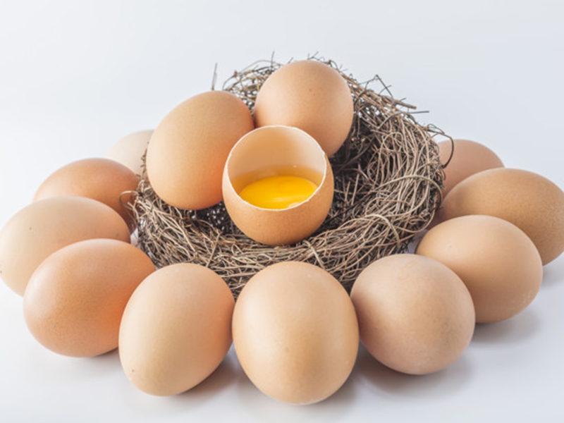 Ilustrasi telur. Foto: Freepik/4045 Ilustrasi telur. Foto: Freepik/4045