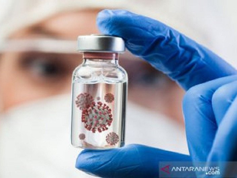 Ilustrasi virus. Foto: Antara/Shutterstock Ilustrasi virus. Foto: Antara/Shutterstock