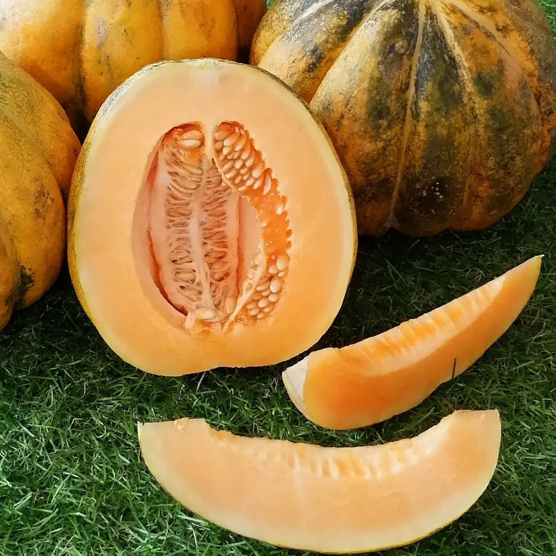 Cegah Penuaan Kulit dengan Konsumsi Buah Blewah. Foto: @gofruit.id/instagram Cegah Penuaan Kulit dengan Konsumsi Buah Blewah. Foto: @gofruit.id/instagram
