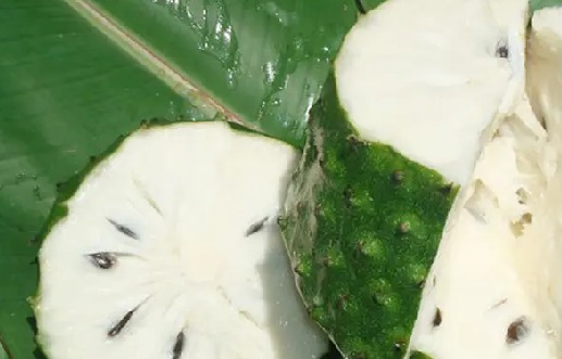 7 Khasiat Teh Daun Sirsak Ternyata Sungguh Luar Biasa (Foto: Shutterstock) 7 Khasiat Teh Daun Sirsak Ternyata Sungguh Luar Biasa (Foto: Shutterstock)