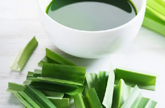 Manfaat Daun Suji Tak Bisa Disepelekan, Kolesterol Bisa Ambrol (Foto: Shutterstock) Manfaat Daun Suji Tak Bisa Disepelekan, Kolesterol Bisa Ambrol (Foto: Shutterstock)