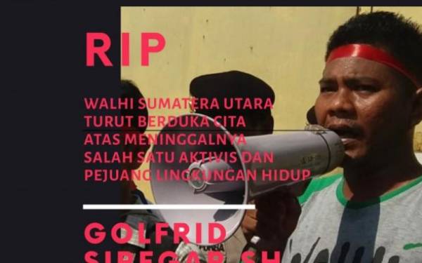 Golfrid Siregar. (Foto: ANTARA/HO-Walhi Sumut) Golfrid Siregar. (Foto: ANTARA/HO-Walhi Sumut)