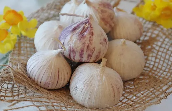 Susu Campur Bawang Putih Khasiatnya Bikin Melongo Genpi Co