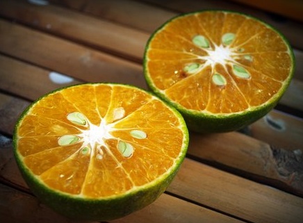 Istimewa! Khasiat Biji Jeruk Bisa Bikin Melongo (Foto: pixabay) Istimewa! Khasiat Biji Jeruk Bisa Bikin Melongo (Foto: pixabay)