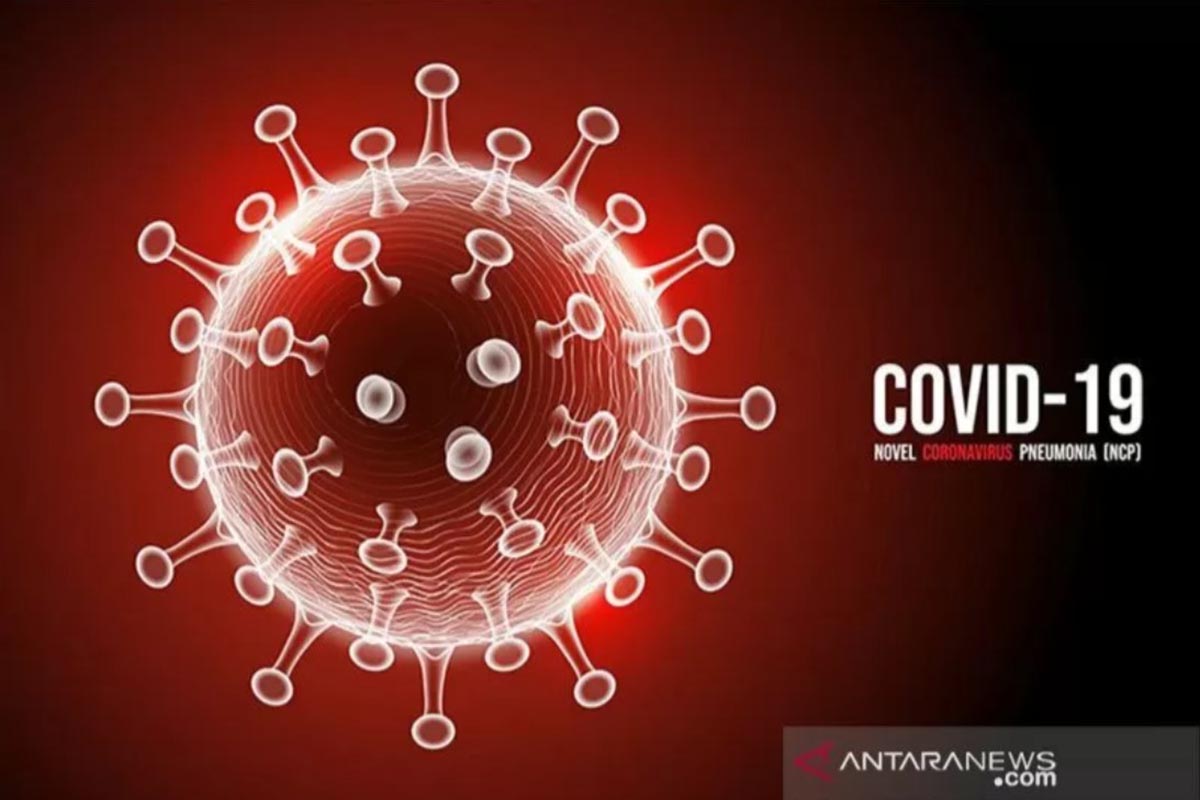 Ilustrasi – Virus Covid-19. Ilustrasi – Virus Covid-19.