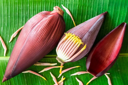 Jangan Sepelekan, Khasiat Makan Jantung Pisang Bikin Wanita Makin (Foto: Shutterstock) Jangan Sepelekan, Khasiat Makan Jantung Pisang Bikin Wanita Makin (Foto: Shutterstock)