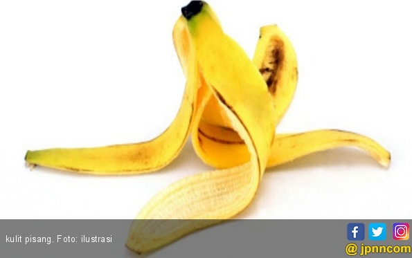 Tak Ada yang Mengira, Khasiat Kulit Pisang Ternyata Luar Biasa Tak Ada yang Mengira, Khasiat Kulit Pisang Ternyata Luar Biasa