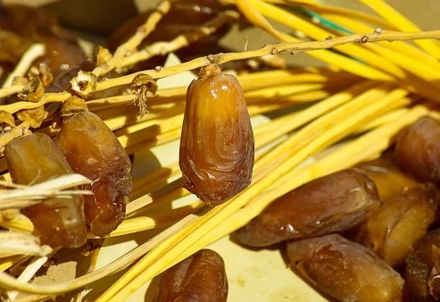 Awas! Ini 5 Dampak Buruk Makan Kurma Berlebihan (Foto: pixabay) Awas! Ini 5 Dampak Buruk Makan Kurma Berlebihan (Foto: pixabay)