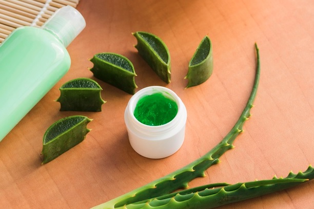 5 Produk Dengan Bahan Aloe Vera yang Laris Di Pasaran, (Foto: freepik) 5 Produk Dengan Bahan Aloe Vera yang Laris Di Pasaran, (Foto: freepik)