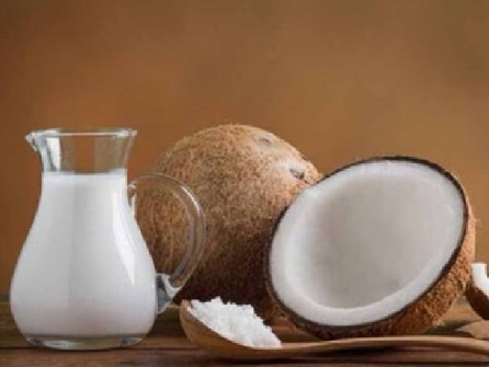 3 Manfaat Santan Ternyata Luar Biasa untuk Kesehatan - ilustrasi (Foto: pixabay) 3 Manfaat Santan Ternyata Luar Biasa untuk Kesehatan - ilustrasi (Foto: pixabay)