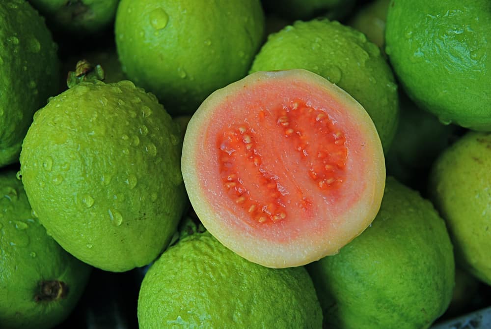 Jambu bikij. Foto: Shutterstock Jambu bikij. Foto: Shutterstock