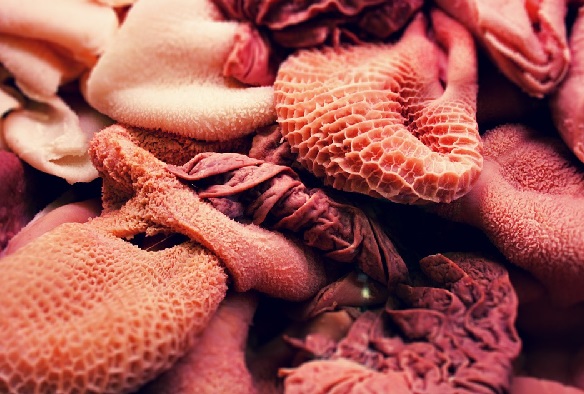 Mengonsumsi Usus Sapi Ternyata Khasiatnya Mengejutkan (Foto: Pixabay) Mengonsumsi Usus Sapi Ternyata Khasiatnya Mengejutkan (Foto: Pixabay)