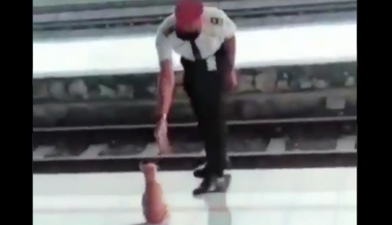 Petugas Stasiun Pasuruan, Jatim, sodorkan tangan ke kucing oranye. Eh, si kocheng oren salim! (Foto : Istimewa) Petugas Stasiun Pasuruan, Jatim, sodorkan tangan ke kucing oranye. Eh, si kocheng oren salim! (Foto : Istimewa)
