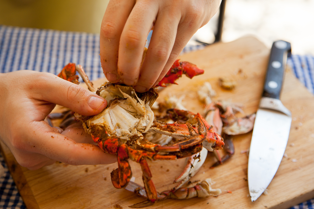 Ilustrasi makan daging kepiting. Foto: Hellosehat Ilustrasi makan daging kepiting. Foto: Hellosehat