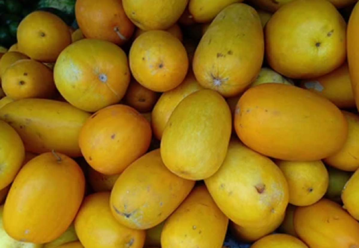 Manfaat Es Mentimun Suri Ternyata Sangat Menakjubkan (Foto: Shutterstock) Manfaat Es Mentimun Suri Ternyata Sangat Menakjubkan (Foto: Shutterstock)