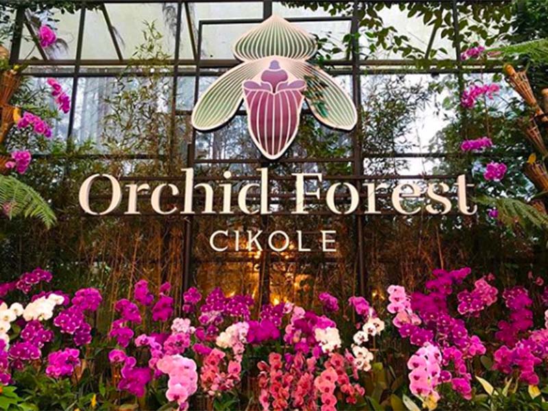 Orchid Forest Cikole, destinasi wisata instagramable di Bandung Utara. Foto: Instagram @orchidforestcikole Orchid Forest Cikole, destinasi wisata instagramable di Bandung Utara. Foto: Instagram @orchidforestcikole